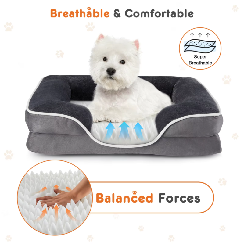 Orthopedic Dog Bed, Memory Foam Pet Bed for Small Dogs & Cats, Removable Cover