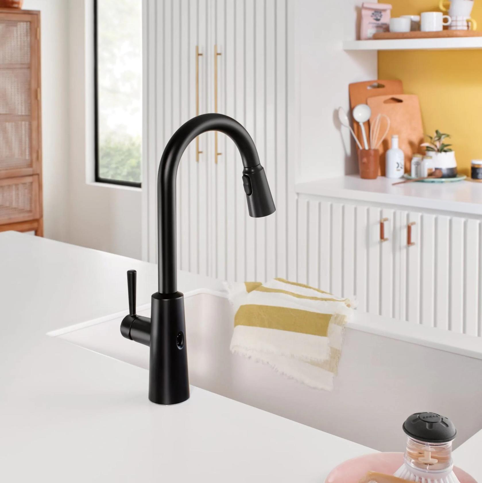 MOEN Riley 7402BL Single Handle Pull-Down Sprayer Kitchen Faucet with Reflex and Power Clean in Matte Black
