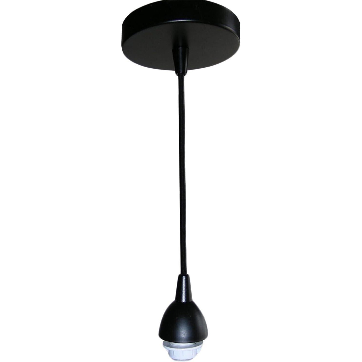 Premier Copper 1-Light Black Pendant Lamp Fixture