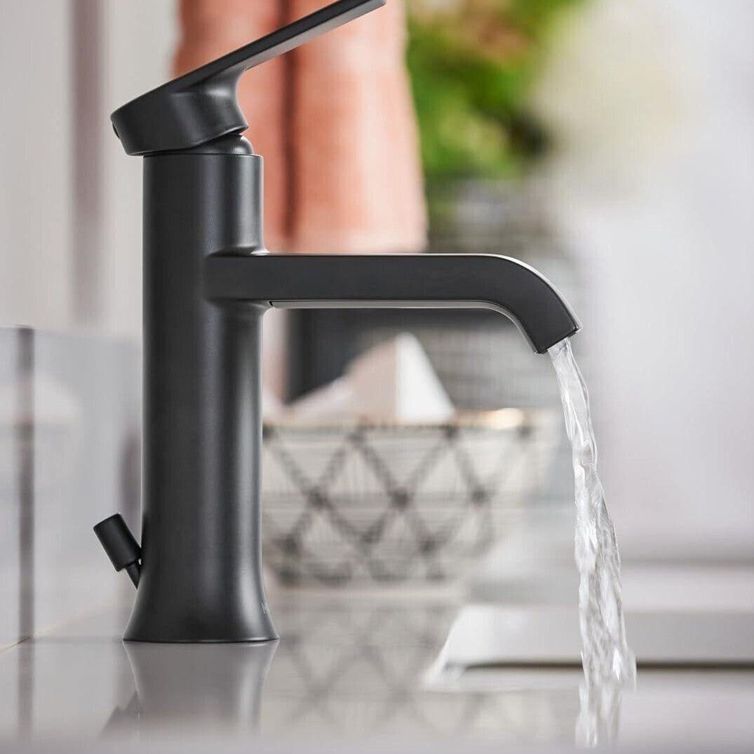 Moen Genta 6702BL One-Handle Bathroom Faucet - Matte Black