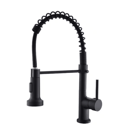 WELLFOR Single Handle Pull Down Sprayer Kitchen Faucet with 360° Rotation