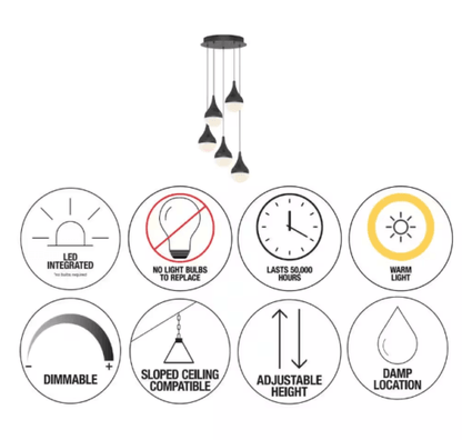 LED Black Pendant Light