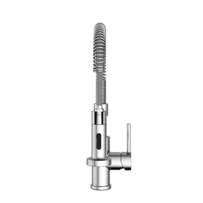 Cartway Single-Handle Spring Non Pull-Down Sprayer Kitchen Faucet in Chrome