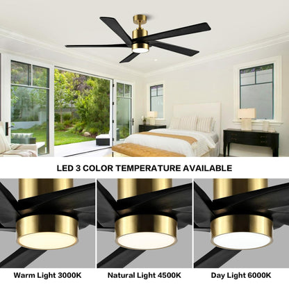 WINGBO 64 Inch DC Ceiling Fan with Lights and Remote Control, 5 Reversible Carved Wood Blades, 6-Speed Noiseless DC Motor, Modern Ceiling Fan in Brass Finish with Balck Blades, ETL Listed - Like New